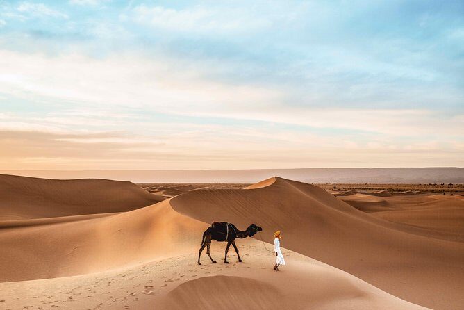 Royal Private Desert Safari - Exclusive SUV - FAQ