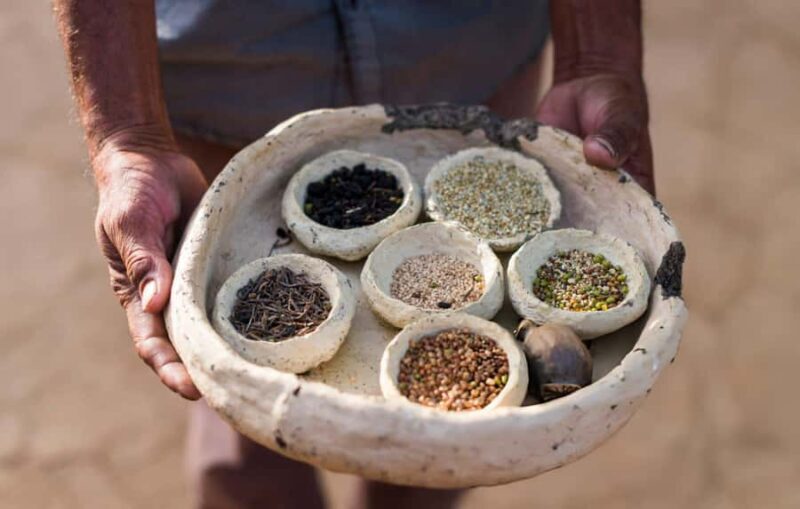 Royal Rajasthani Thali & Family Cooking Class in Udaipur - Introduction