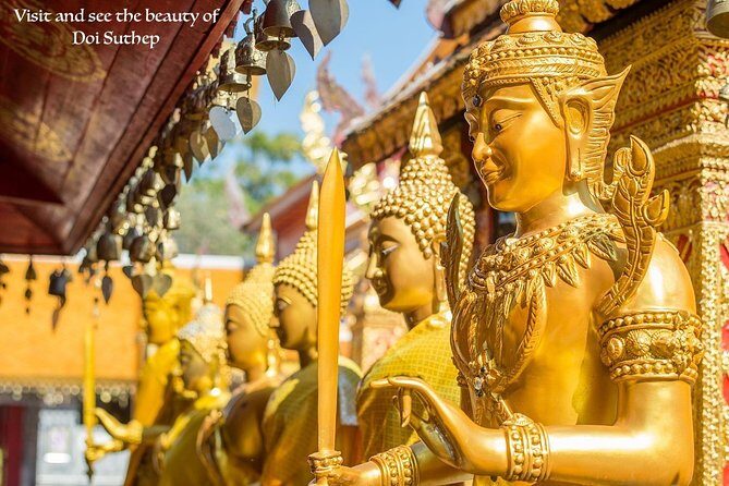 Royal Residence & Wat Phrathat Doi Suthep Half Day Tour From Chiang Mai - FAQ
