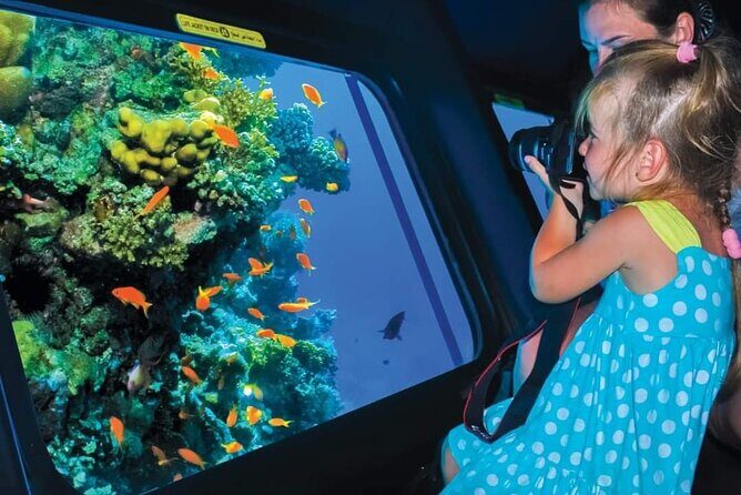 Royal Sea Scope Semi Submarine - Marsa Alam - Who Should Consider This Tour?