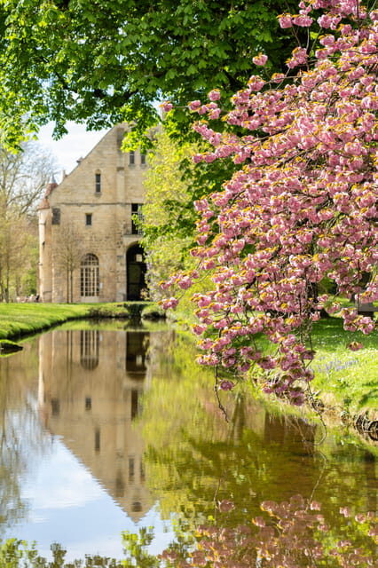 Royaumont Abbey Entrance Ticket - What You Can Expect During Your Visit