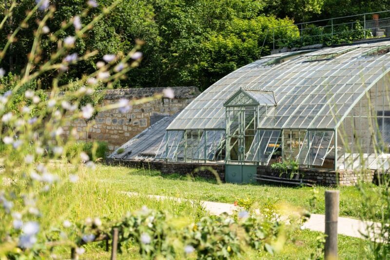 Royaumont Abbey Entrance Ticket - The Grounds and Gardens