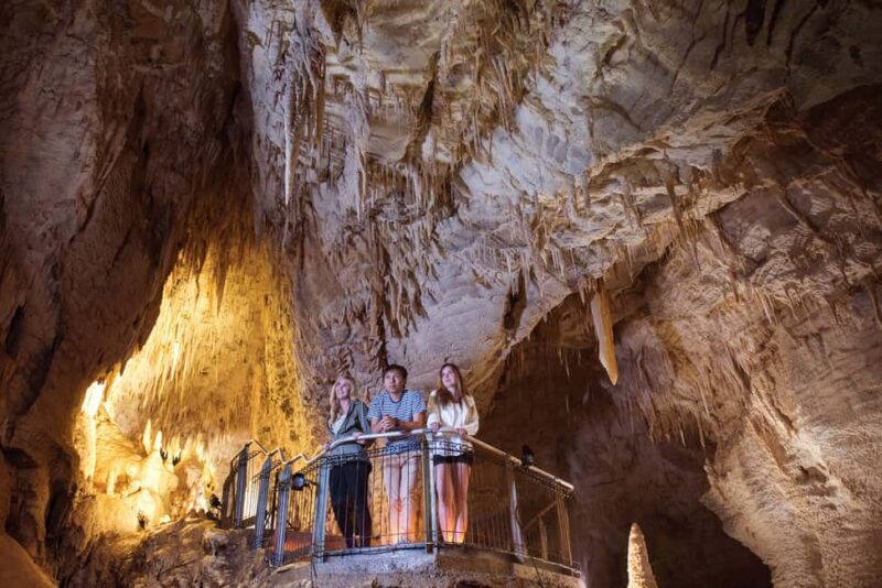 RUAKURI CAVE & HAMILTON GARDENS-PRIVATE TOUR FROM AUCKLAND - Key Points