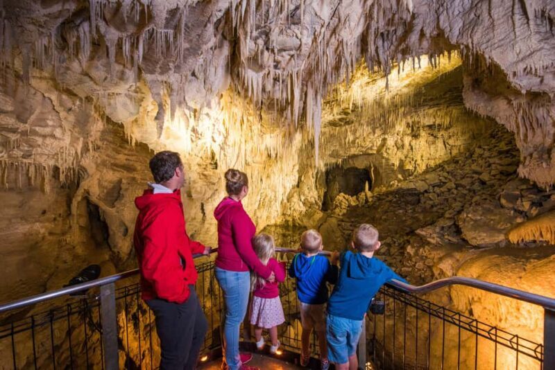 RUAKURI CAVE & HAMILTON GARDENS-PRIVATE TOUR FROM AUCKLAND - A Closer Look at the Itinerary