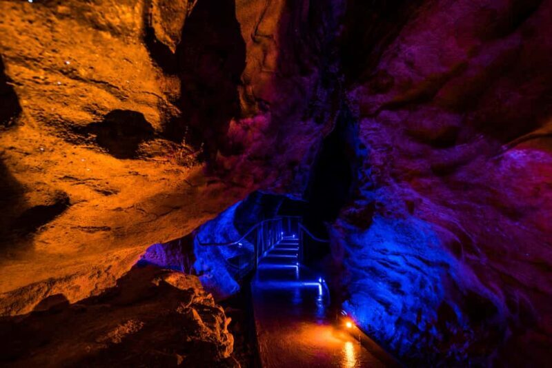 RUAKURI CAVE & HAMILTON GARDENS-PRIVATE TOUR FROM AUCKLAND - Final Thoughts: Who Should Consider This Tour?