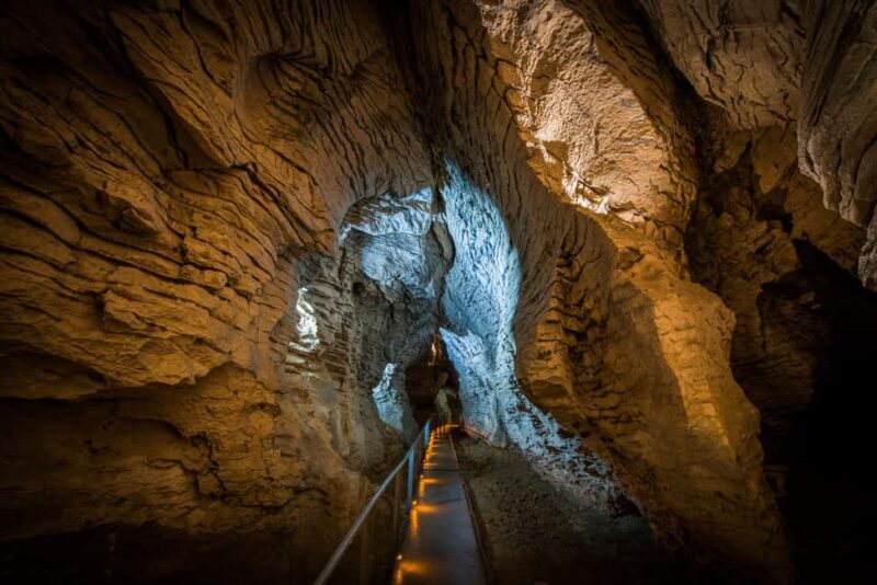 RUAKURI CAVE & HAMILTON GARDENS-PRIVATE TOUR FROM AUCKLAND - FAQs