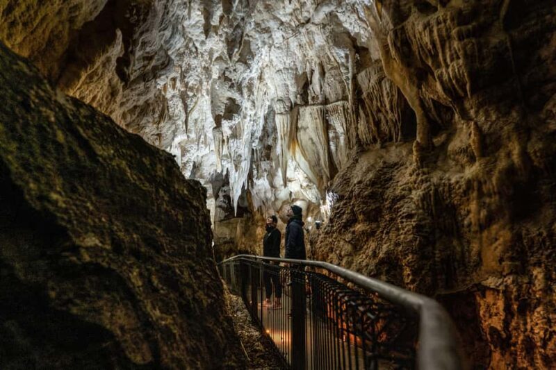 RUAKURI CAVES & HAMILTON GARDENS - Day Tour from Auckland - FAQ