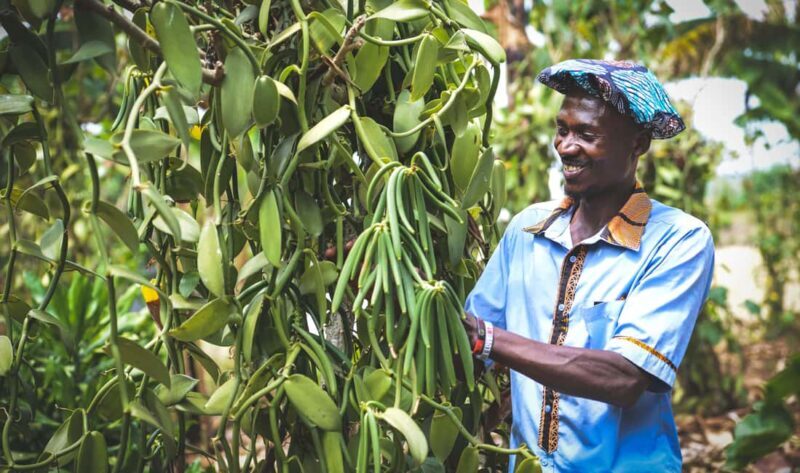 Rubalika Safari Lodge and Farm: Guided Trail Tour with Lunch - Key Points