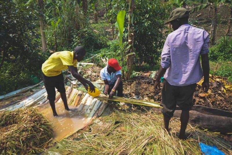 Rubalika Safari Lodge and Farm: Guided Trail Tour with Lunch - Authentic Experiences That Deliver Real Value