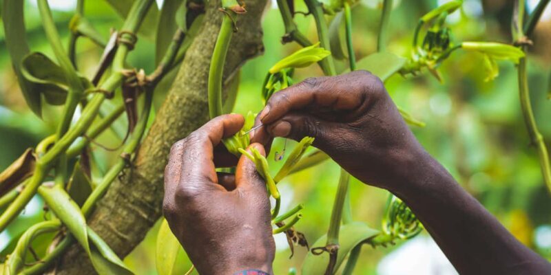 Rubalika Safari Lodge and Farm: Guided Trail Tour with Lunch - Final Thoughts