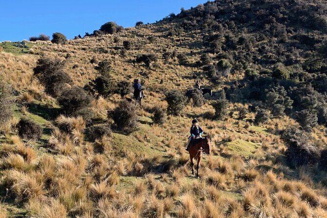 Rubicon Valley Horse Treks - 2 Hour River Trail Horse Trek - Key Points