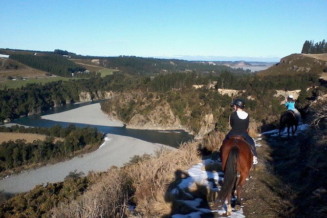 Rubicon Valley Horse Treks - 2 Hour River Trail Horse Trek - The Horses and Safety Measures