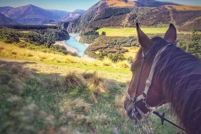 Rubicon Valley Horse Treks - 2 Hour River Trail Horse Trek - FAQ