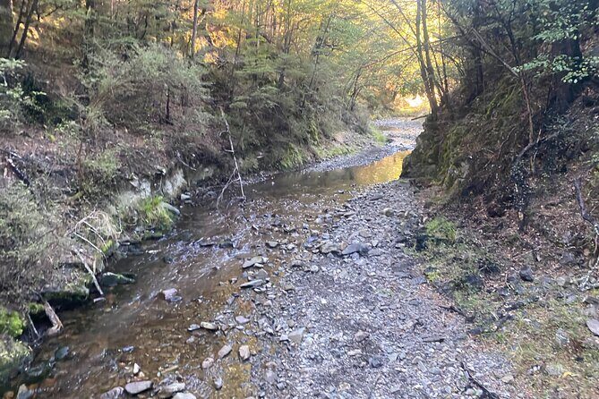 Rubicon Valley Horse Treks - 2 Hour River Trail Horse Trek - In Closing