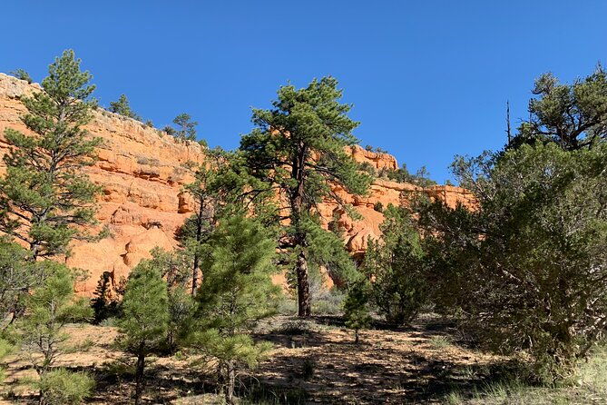 rubys-horseback-adventures-utah-half-day-ride