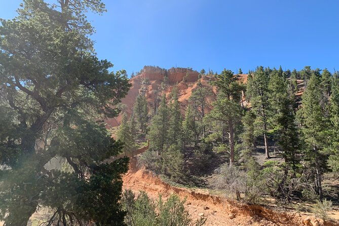 rubys-horseback-adventures-utah-half-day-ride