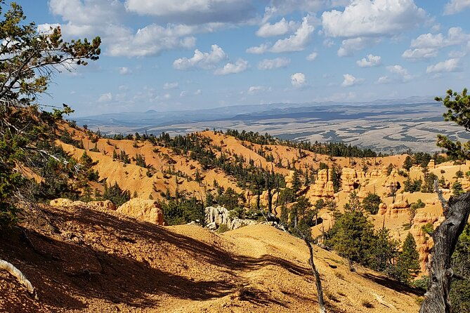 rubys-horseback-adventures-utah-thunder-mt-4-hour-ride-2