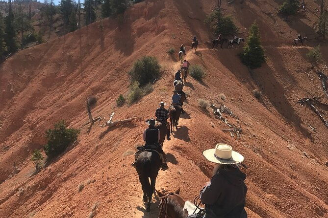 rubys-horseback-adventures-utah-thunder-mt-4-hour-ride