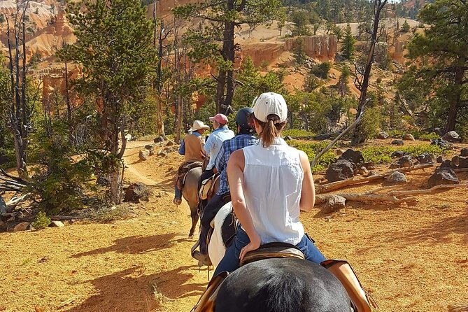rubys-horseback-adventures-utah-thunder-mt-4-hour-ride