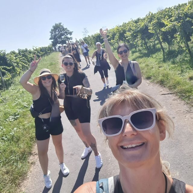 Rüdesheim am Rhein: wine hike and sights - Key Points