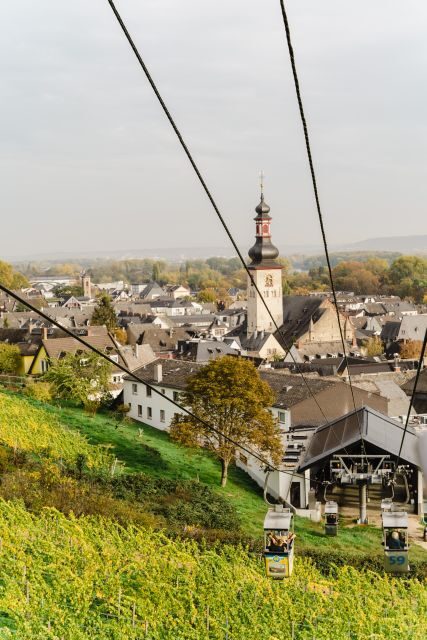 Rüdesheim am Rhein: wine hike and sights - Why This Tour Works Well