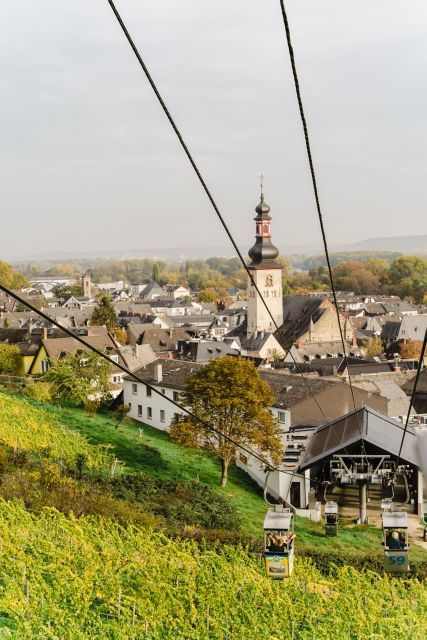 rudesheim-am-rhein-wine-hike-and-sights
