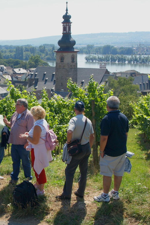 rudesheim-on-the-rhine-city-tour