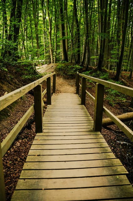 rugen-island-oneday-trip-on-the-baltic-seacoast-from-berlin