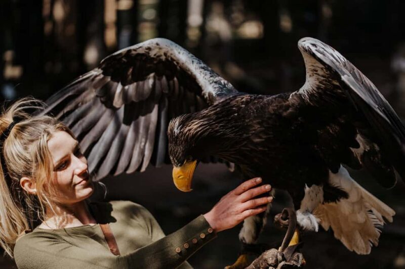 Ruhla: Ticket for a flight show with eagles, owls, and more. - Final Thoughts