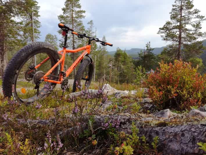 ruka-into-the-forest-with-fatbikes
