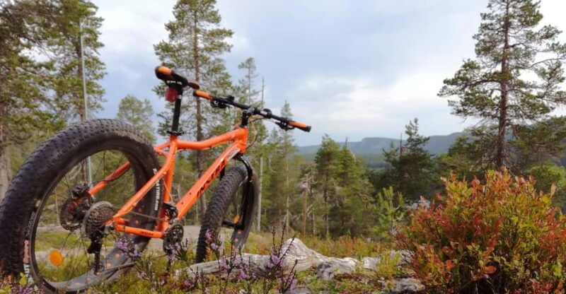 ruka-into-the-forest-with-fatbikes