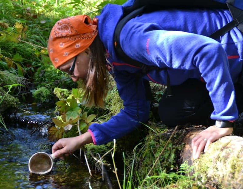 Ruka: Midnight sun hike to Valtavaara - Key Points