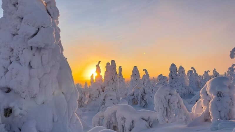 ruka-riisitunturi-national-park-with-lunch