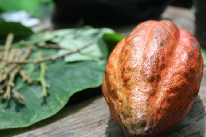 rum-chocolate-tasting-tour-journey-into-flavor