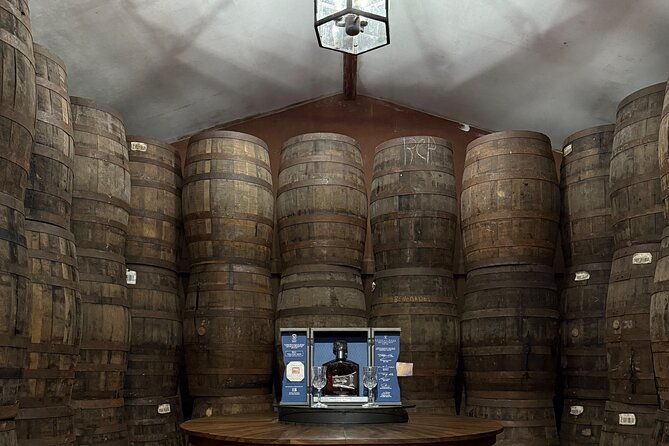 rum-tour-experience-from-cane-to-glass