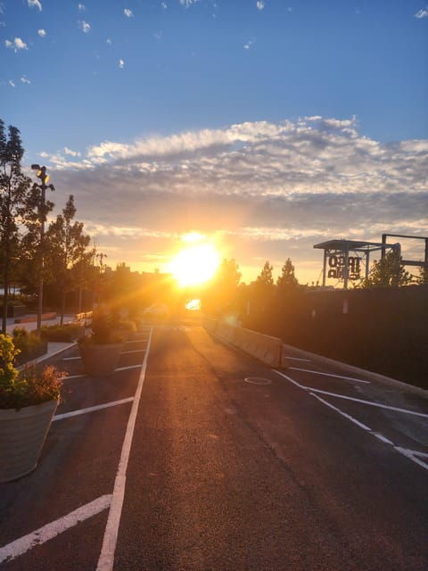 run-eat-explore-nycs-food-fitness-adventure