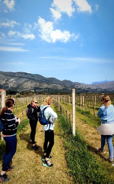 rural-biking-wine-tasting-tour