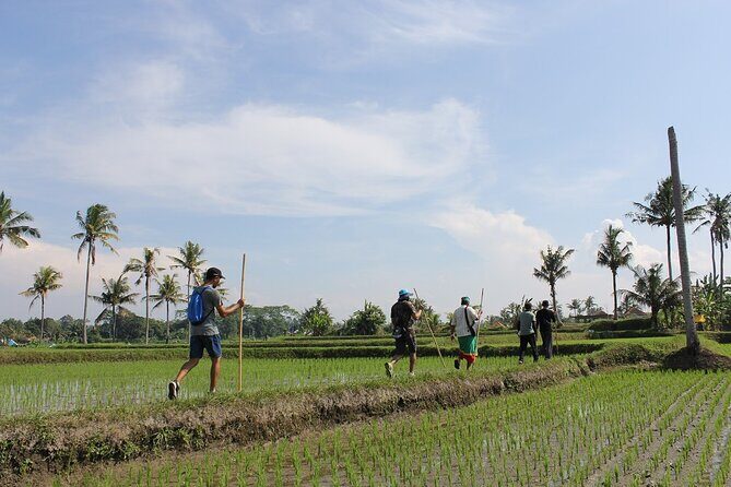 Rural Charm of Bali Tour - Key Points
