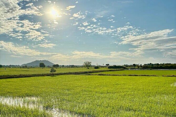 Rural Countryside Experience Tour in Siem Reap - Discover the Authentic Heart of Cambodia with the Rural Countryside Experience in Siem Reap