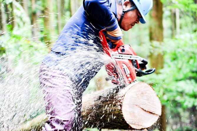rural-forestry-tour-in-aso-minamioguni