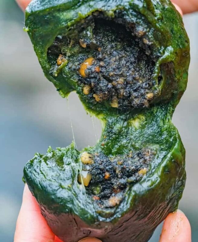 Rural Guilin Tour: Mugwort Rice Ball from Farm to Table - Key Points