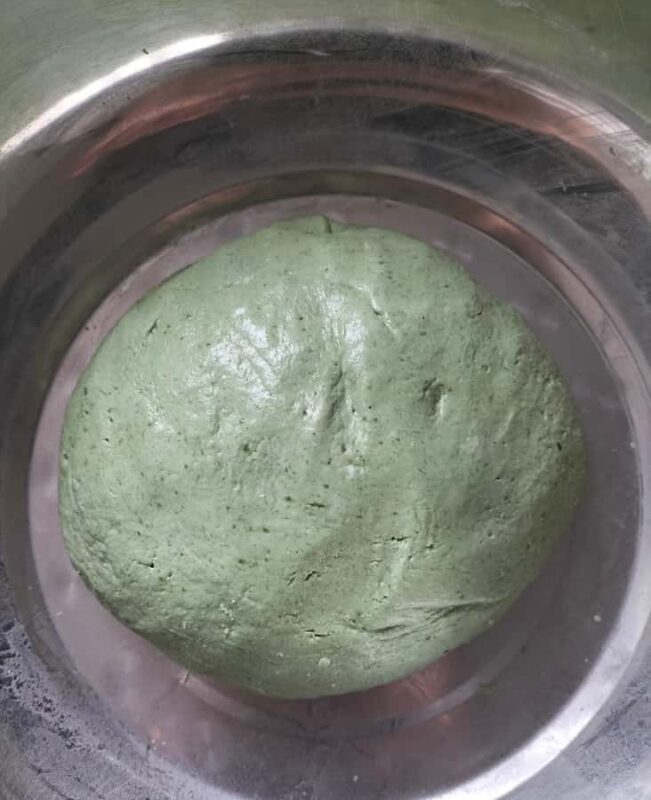 Rural Guilin Tour: Mugwort Rice Ball from Farm to Table - Final Thoughts