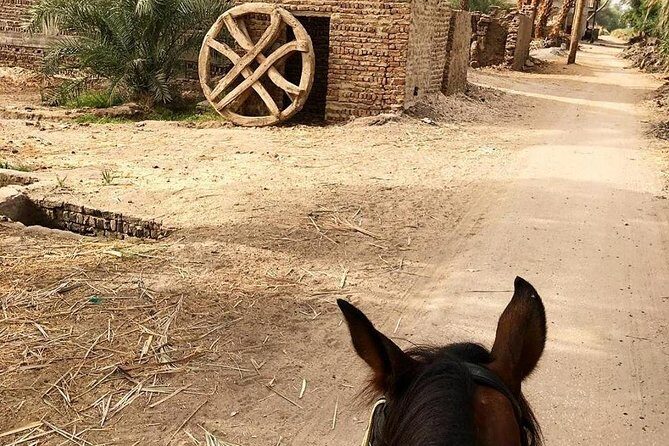 Rural Horse Riding Adventure - Key Points