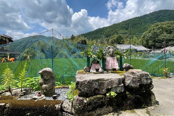 rural-kyoto-one-day-tour-of-a-tranquil-landscape-in-ohara