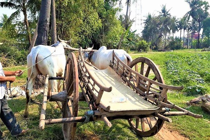 Rural Village with Ox Cart Journey & Monk Blessing - Discover the Charm of Rural Cambodia: A Review of the Ox Cart Village Tour and Monk Blessing