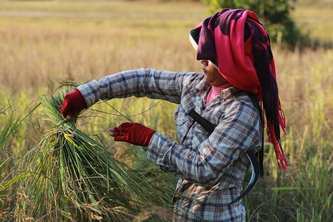 Rural Village with Ox Cart Journey & Monk Blessing - What Does the Tour Include and Exclude?