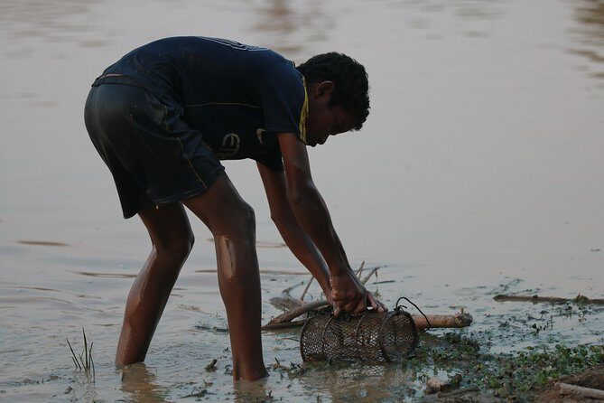 Rural Village with Ox Cart Journey & Monk Blessing - FAQ