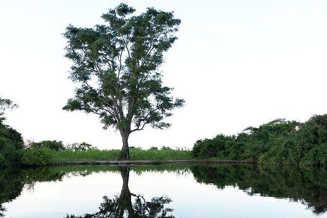 rurrenabaque-bolivia-amazon-5-day-tour-native-community-project