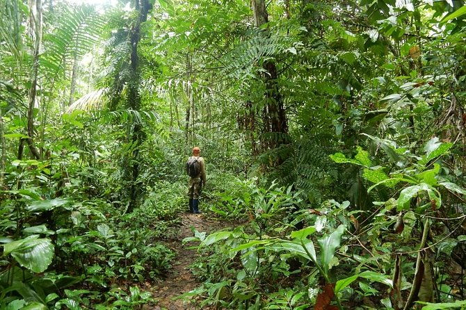 rurrenabaque-pampas-3-days-2-nights-private-tour-2ppl-min