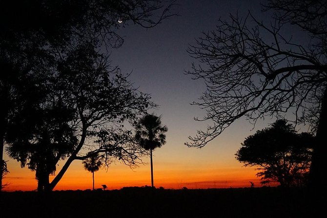 rurrenabaque-pampas-3-days-2-nights-private-tour-2ppl-min